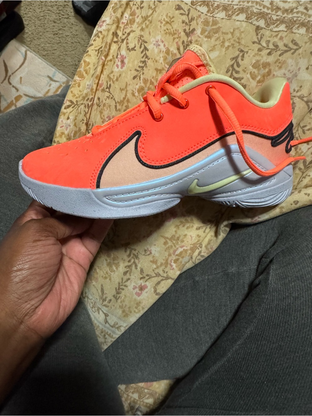 LeBron Shoes